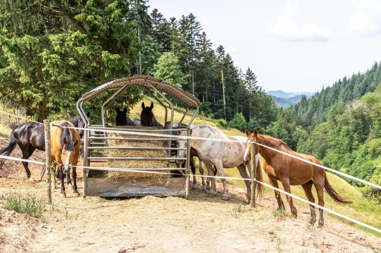 Ferienhaus Giessler Nordrach Dış mekan fotoğraf